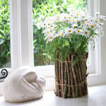 Растения в интерьере квартиры